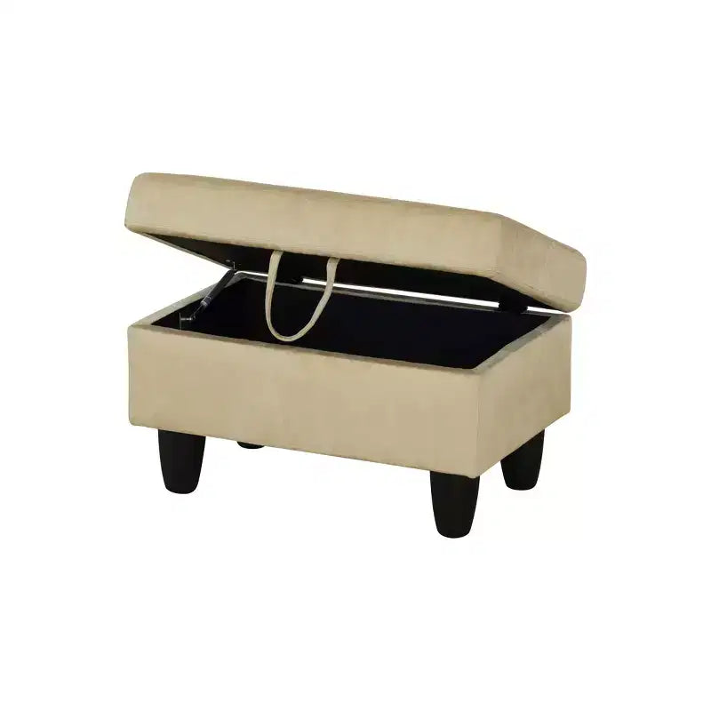 AndMakers Pouf de rangement rectangulaire en flanelle de polyester de 28,5 po de largeur