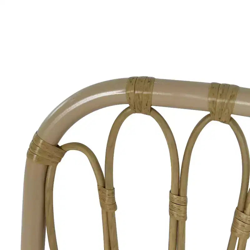 MAYEERTY Lot de 2 chaises de salle à manger d'extérieur en rotin PE avec coussin lavable pour jardin et terrasse