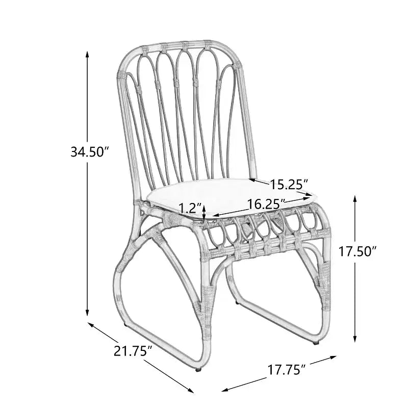 MAYEERTY Lot de 2 chaises de salle à manger d'extérieur en rotin PE avec coussin lavable pour jardin et terrasse