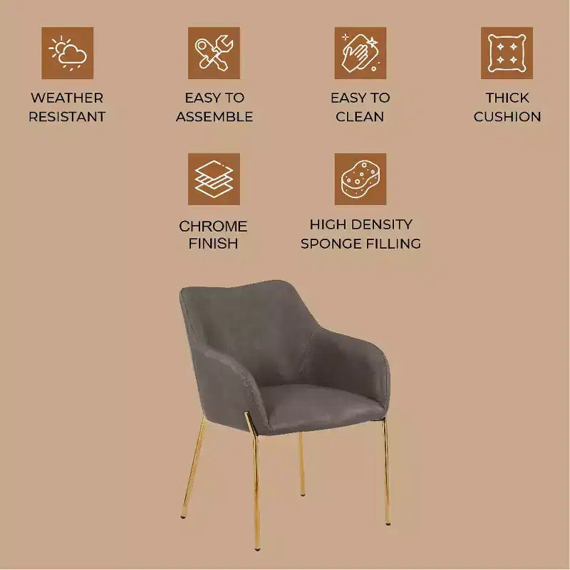 LeisureMod Zaire Chaise de salle à manger moderne, Chaise d'appoint rembourrée avec pieds en fer doré, Chaise d'appoint élégante pour salle à manger ou cuisine, Lot de 2
