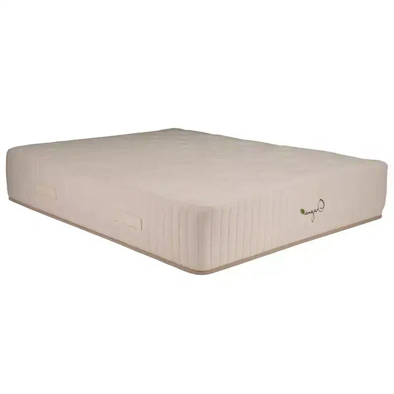 HomeStock Organa Super Plus 12 in. Latex Pocket Spring Mattress, Beige