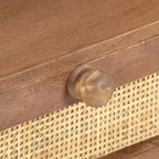 vidaXL Table basse 100x60x40 cm Bois de manguier massif