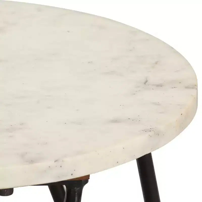 vidaXL Table Basse Table d'appoint Table de Chevet en Pierre Véritable à Texture Marbre