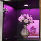 Hitow Vitrine Éclairée par LED, Étagère à Livres, Porte en Verre et Bois, Rangement Élégant pour Décoration et Livres, Armoire Autonome