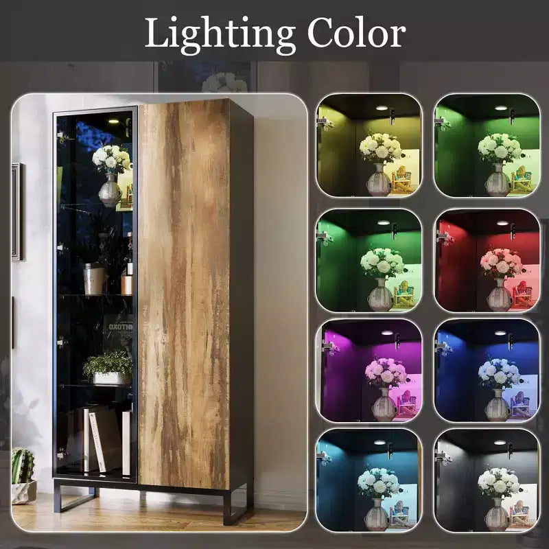 Hitow Vitrine Éclairée par LED, Étagère à Livres, Porte en Verre et Bois, Rangement Élégant pour Décoration et Livres, Armoire Autonome