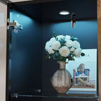 Hitow Vitrine Éclairée par LED, Étagère à Livres, Porte en Verre et Bois, Rangement Élégant pour Décoration et Livres, Armoire Autonome