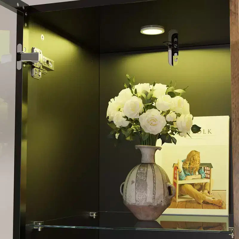 Hitow Vitrine Éclairée par LED, Étagère à Livres, Porte en Verre et Bois, Rangement Élégant pour Décoration et Livres, Armoire Autonome