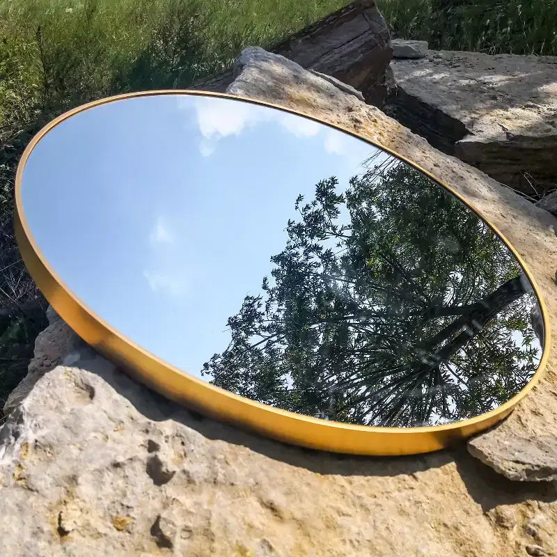 Miroir Rond Mural avec Cadre en Aluminium Brossé Grand Miroir Circulaire pour Mur, Miroir de Salle de Bain Circulaire - Panipeachy