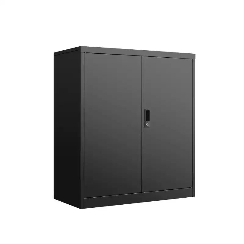 Classeur de rangement VIYET 36H, armoire en acier avec serrures de porte et 2 étagères réglables, utilisation multi-scènes