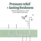 Matelas en mousse à mémoire de forme au thé vert Zinus 25 cm, une place, sans fibre de verre, fermeté moyenne, zones de soulagement de la pression, mousses et tissu certifiés sûrs