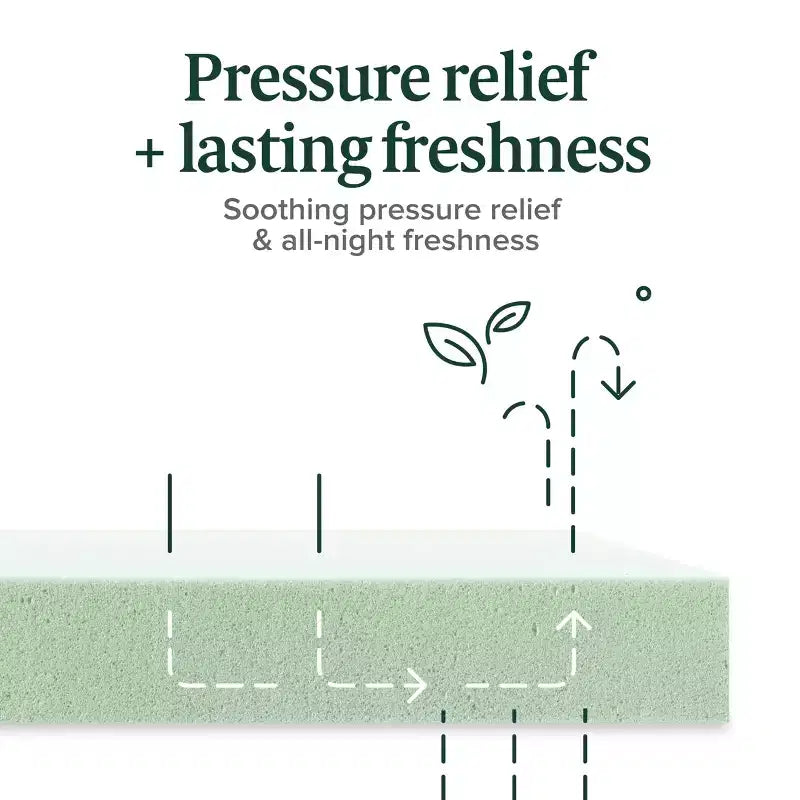 Matelas en mousse à mémoire de forme au thé vert Zinus 25 cm, une place, sans fibre de verre, fermeté moyenne, zones de soulagement de la pression, mousses et tissu certifiés sûrs