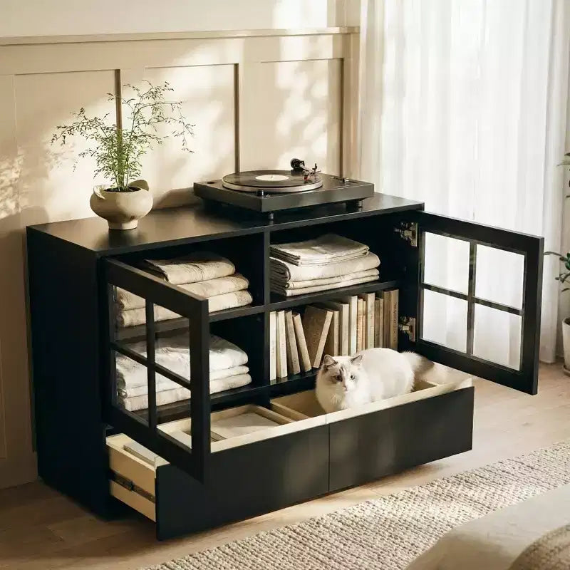 47.04 Buffet moderne avec portes en acrylique incassables – Meuble de rangement à 2 tiroirs avec étagères réglables – Noir mat Gaoyangjiaju