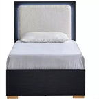 Passion Furniture Steeler Black and Gold Wood Frame Twin Panel Bed with LED Lighted Headboard