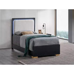 Lit double à panneau Passion Furniture Steeler noir et or avec cadre en bois et tête de lit éclairée par LED