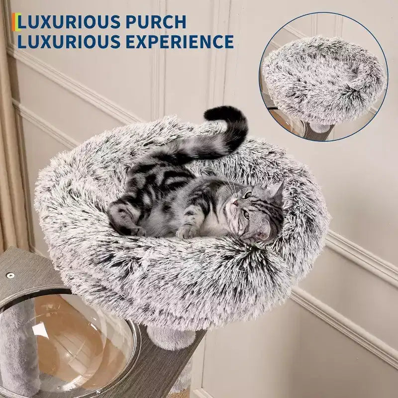 Arbre à chat avec abri litière, tour à chat en bois de 170 cm de haut avec capsule transparente et hamac douillet, meuble litière avec poteaux à griffer