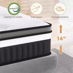 Matelas à mémoire de forme Queen Size, matelas hybride à ressorts intérieurs de 14 pouces, plusieurs tailles