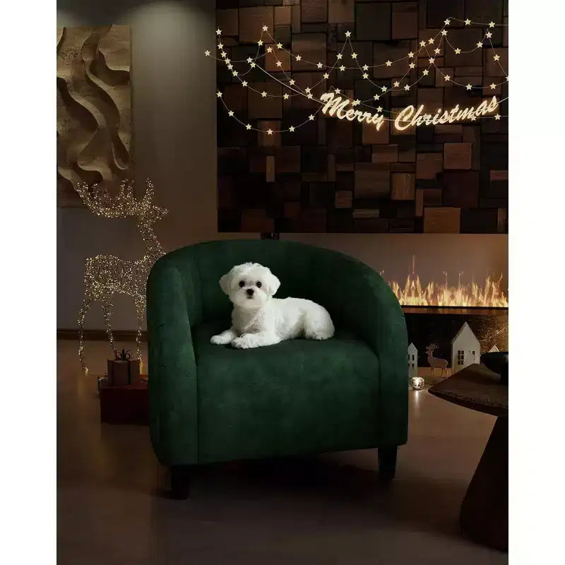 Fauteuil d'appoint moderne confortable, fauteuil simple rembourré doux avec dossier arrondi et pieds robustes, fauteuil de salon pour le salon et la chambre à coucher