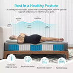 Matelas Serweet 8 pouces sans fibre de verre 5 zones – Compatible avec lit plateforme, sommier tapissier ou base à lattes