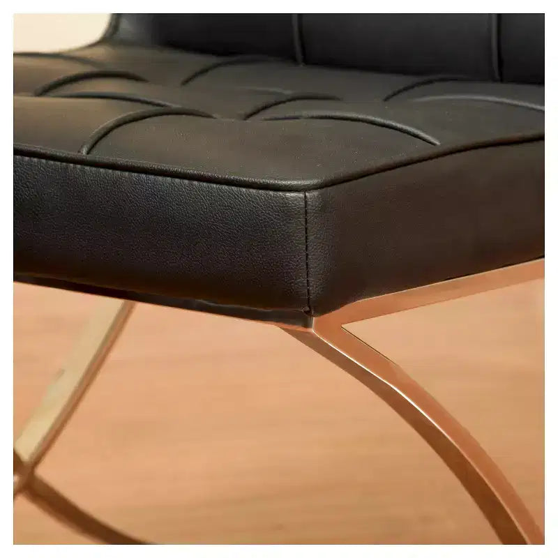 Lot de 2 chaises de salle à manger Milania - Christopher Knight Home