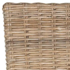 Chaise de salle à manger en osier Ozias 19 H (lot de 2) - SEA8014 - Safavieh