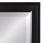 Miroir mural pleine longueur Bosc 19,5 x 51,5 - DesignOvation