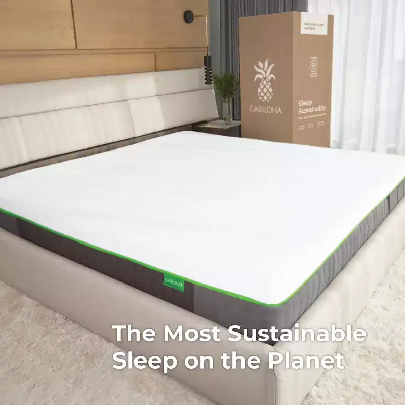 Matelas Classique Cariloha