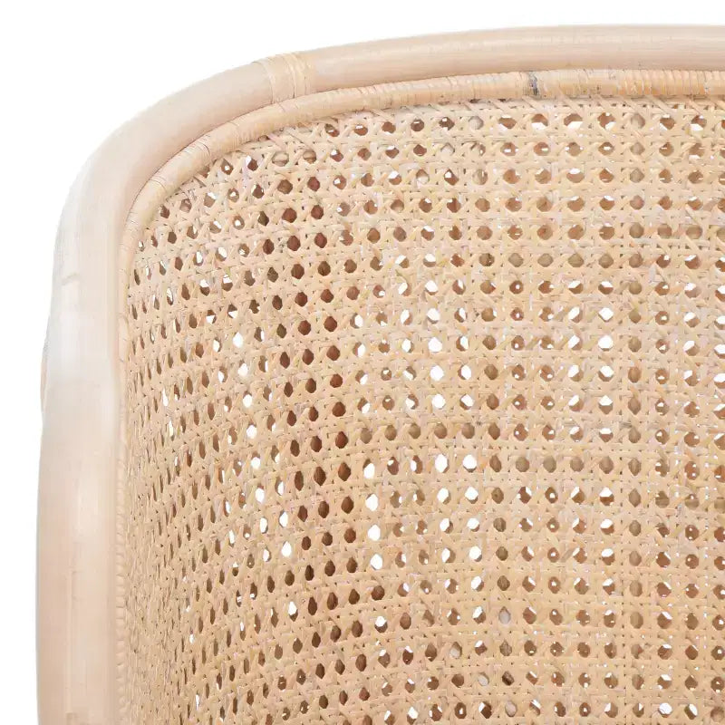Fauteuil Sistine avec coussin - SEA4020A - Naturel/Blanc délavé - Safavieh