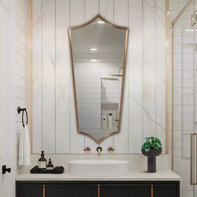 Miroir Bouclier Encadré Acier Inoxydable Antioch 52x24 Howard Elliott