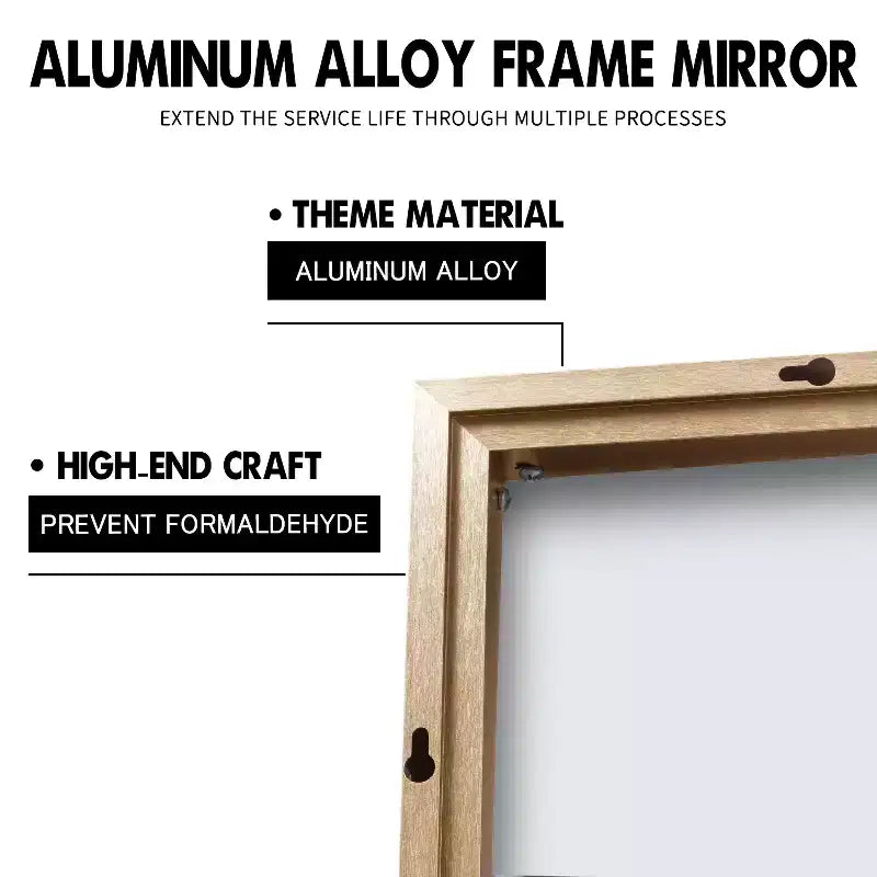 Dovelina Miroir de salle de bain rectangulaire moderne avec cadre en métal Miroir mural décoratif