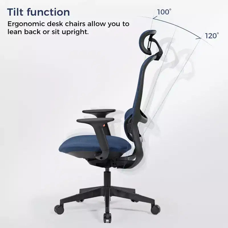 EUREKA ERGONOMIC,Skylar, Chaise de bureau moderne en maille
