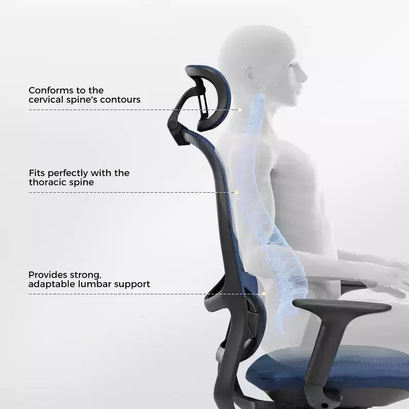 EUREKA ERGONOMIC,Skylar, Chaise de bureau moderne en maille