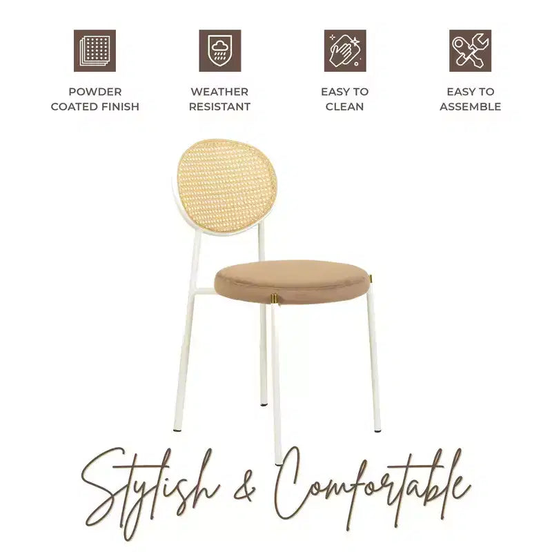 Chaise de salle à manger en velours LeisureMod Euston – Chaise à dossier ouvert en rotin avec base en acier inoxydable, assise moderne confortable pour cuisine, salle à manger, café