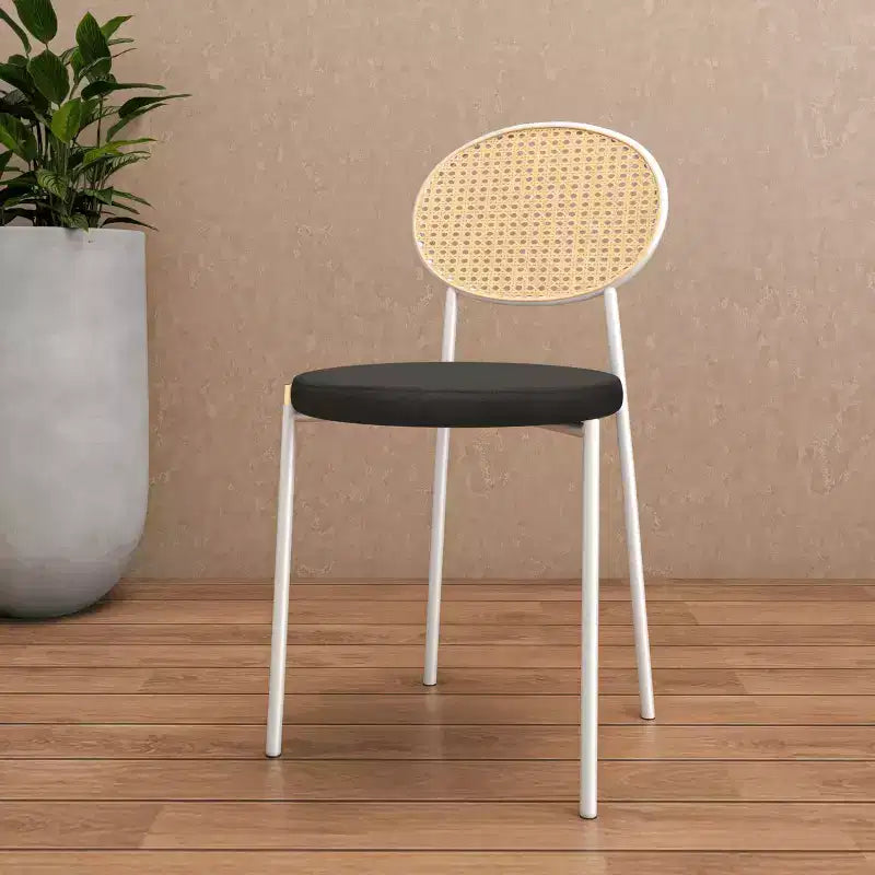 Chaise de salle à manger en velours LeisureMod Euston – Chaise à dossier ouvert en rotin avec base en acier inoxydable, assise moderne confortable pour cuisine, salle à manger, café