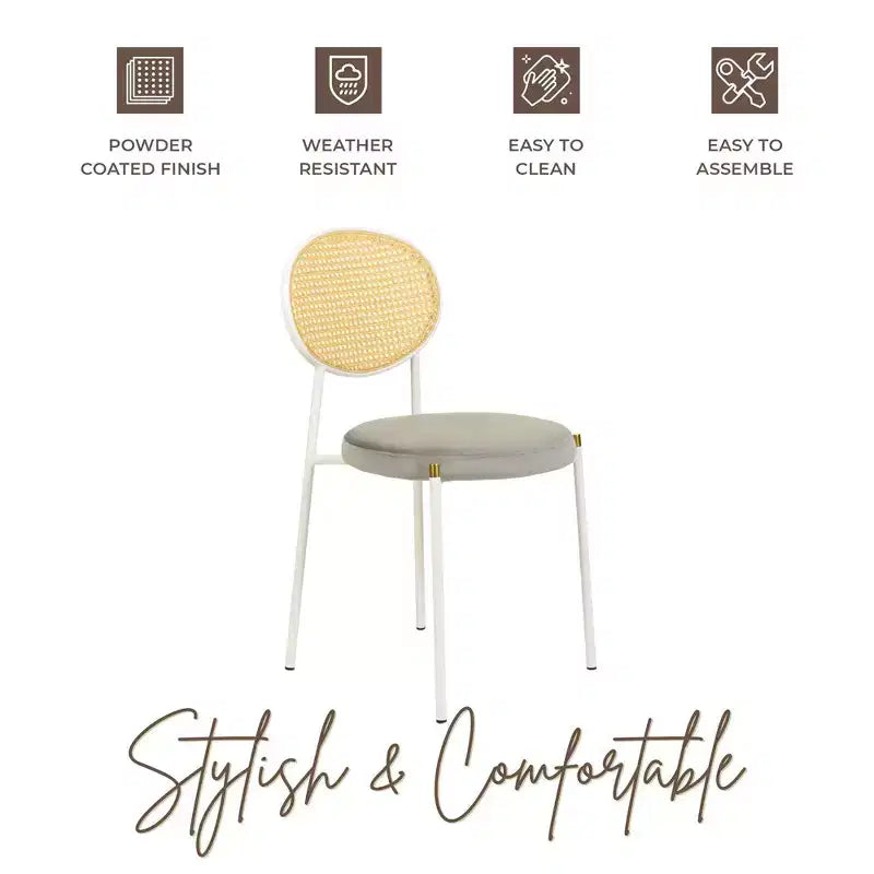 Chaise de salle à manger en velours LeisureMod Euston – Chaise à dossier ouvert en rotin avec base en acier inoxydable, assise moderne confortable pour cuisine, salle à manger, café