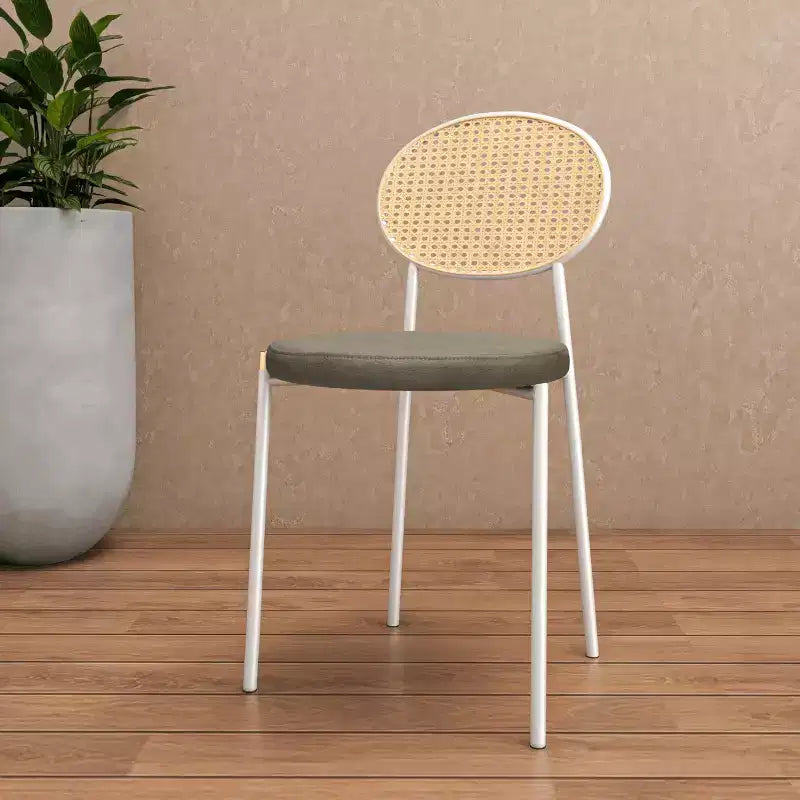 Chaise de salle à manger en velours LeisureMod Euston – Chaise à dossier ouvert en rotin avec base en acier inoxydable, assise moderne confortable pour cuisine, salle à manger, café