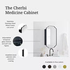 TEHOME Osterhus Armoire à pharmacie rectangulaire à surface de 45,7 cm de largeur x 73,6 cm de hauteur avec miroir, en métal, arche, noir mat