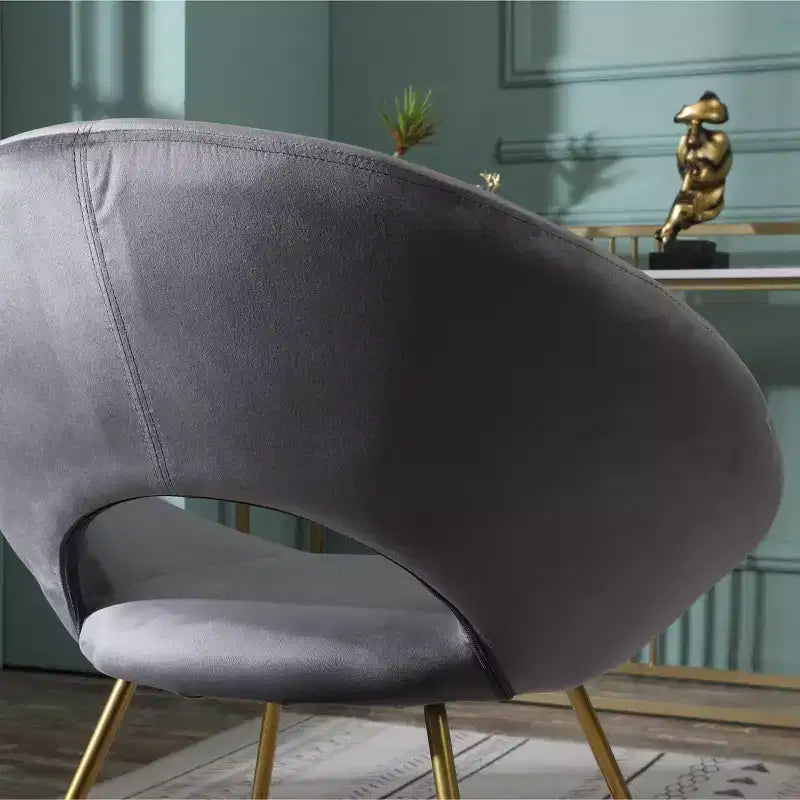 Roundhill Furniture Slatina, fauteuil d'appoint en velours soyeux, gris avec piètement doré