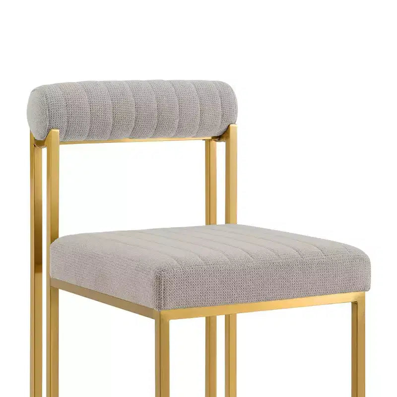 Lot de 2 chaises de salle à manger Anastasia en acier inoxydable brossé et tissu d'Armen Living